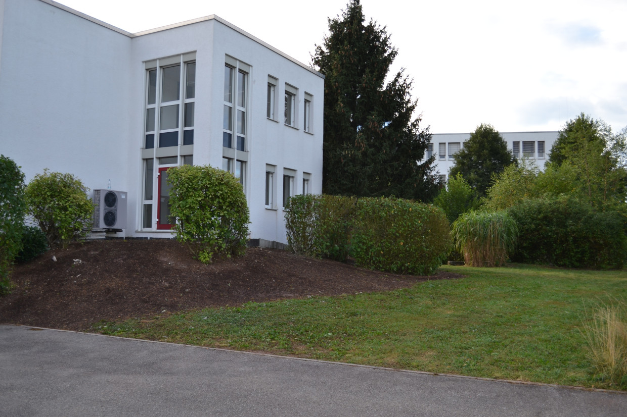 Gartenpflege 1